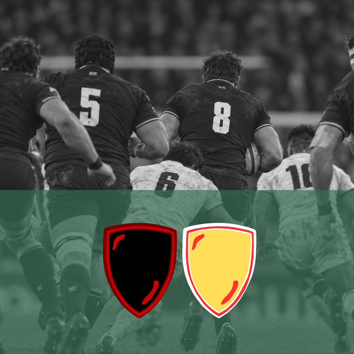 Stade Toulousain - USA Perpignan