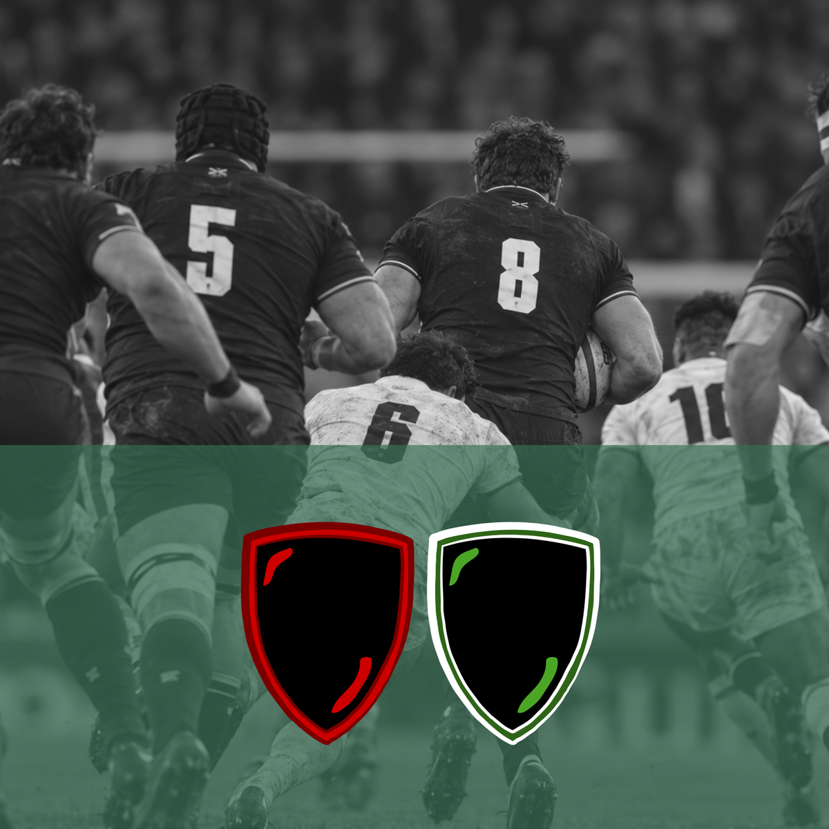 Stade Toulousain - RC Toulon