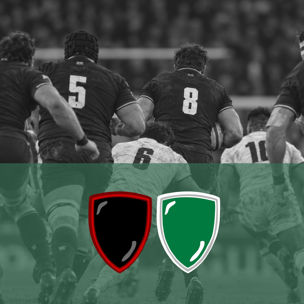 Stade Toulousain - Section Paloise