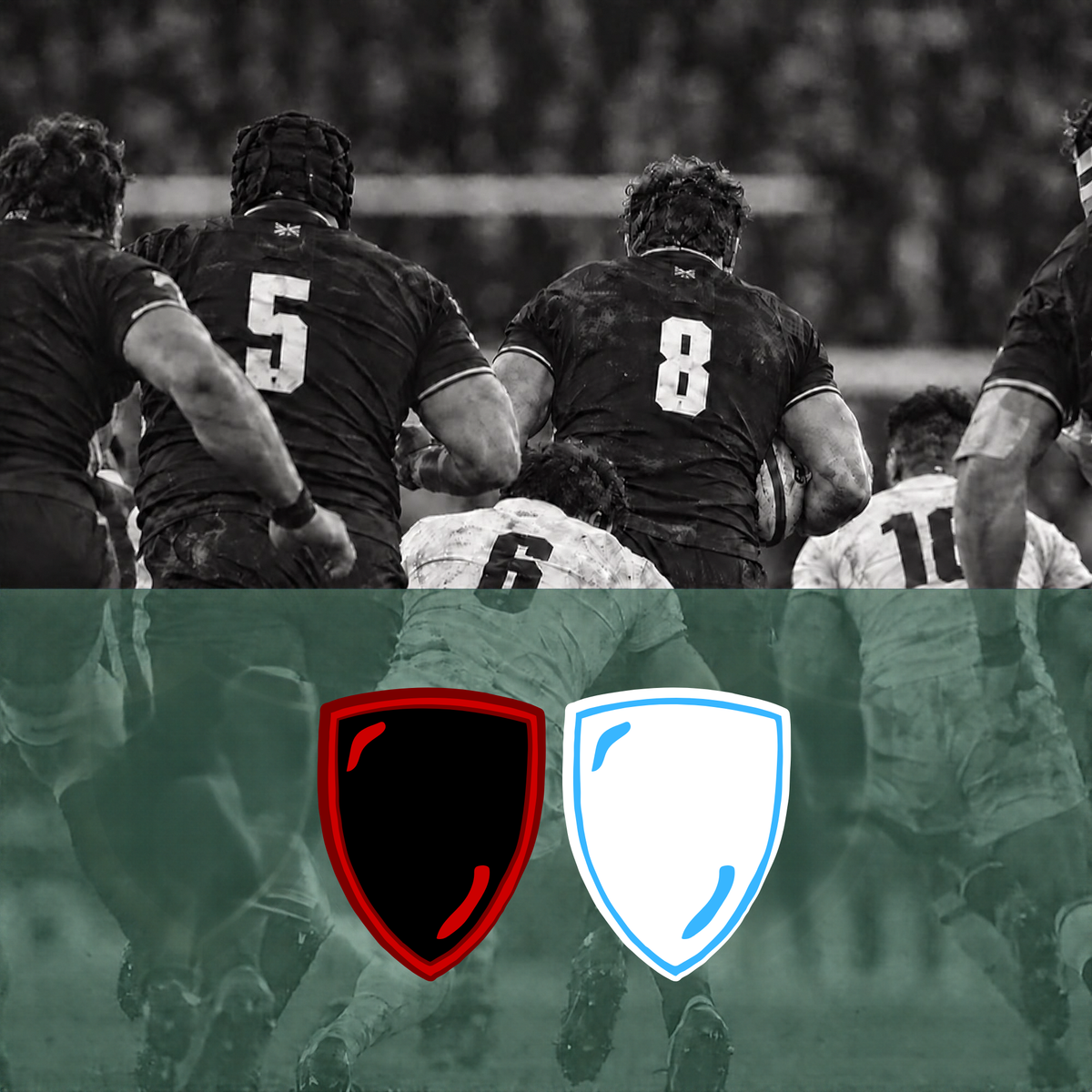 Stade Toulousain - Aviron Bayonnais