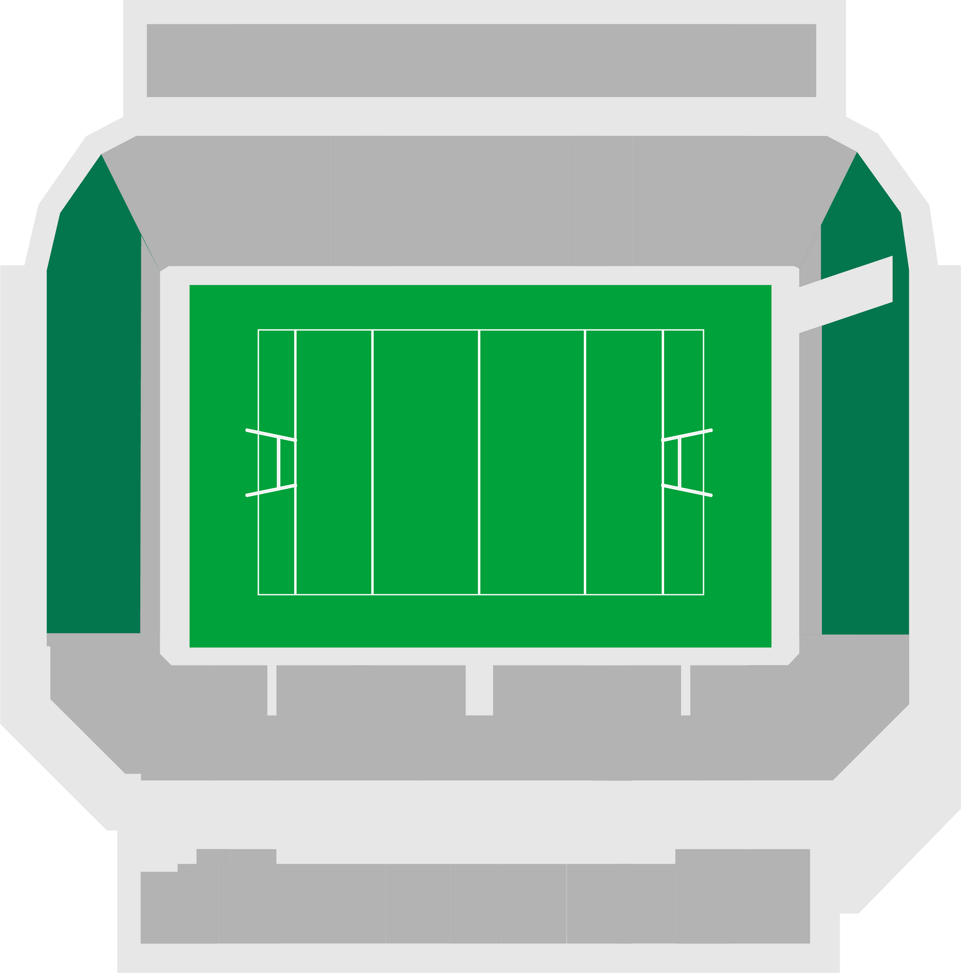 Category 5/6 — Newcastle Stadium