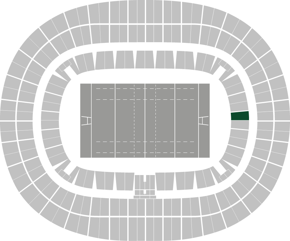 Autumn Nations Series:  France - South Africa